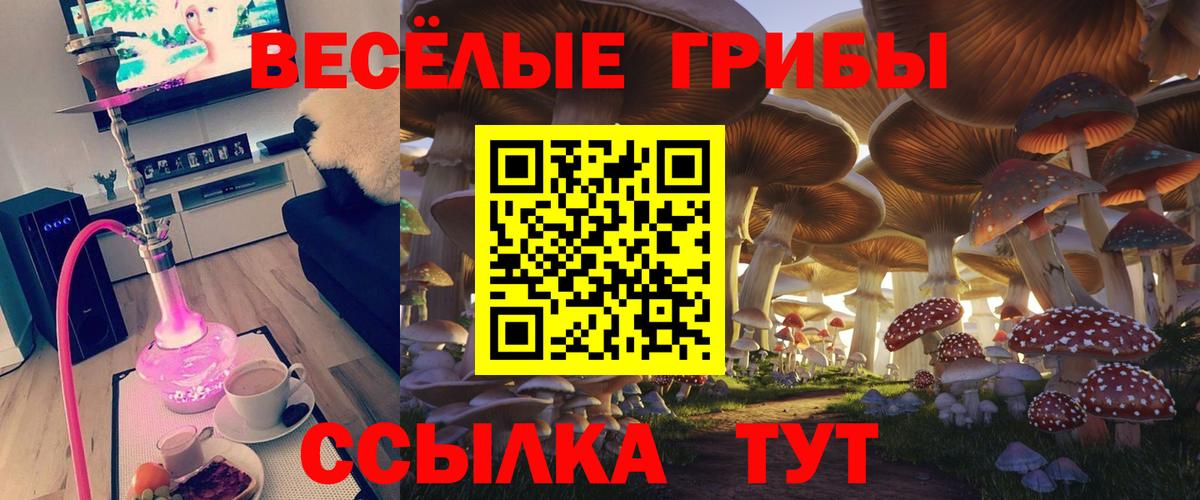 Черемхово  цена наркотик  Вход с VPN  Галлюциногенные грибы MAGIC MUSHROOMS 